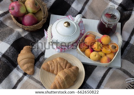 Summer picnic with fresh fruits croissants and tea