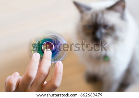 Kid hand playing fidget spinner with himalayan cat 