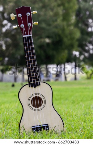 ukulele on nature background,ukulele close up,music concept