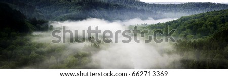 Mountain forest landscape. Pine trees in the fog in the early morning. Panoramic picture