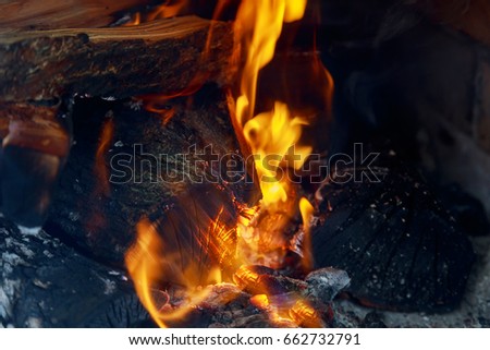 crest of flame on burning wood in fireplace Burning wood and coal