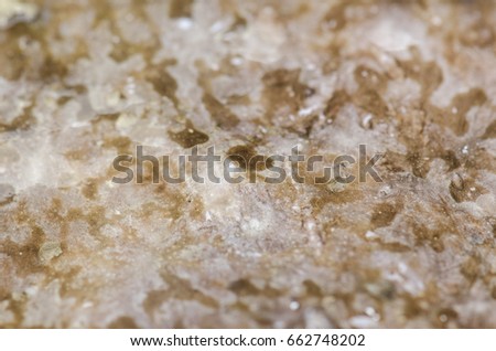Picture of close up of skin fish, texture.