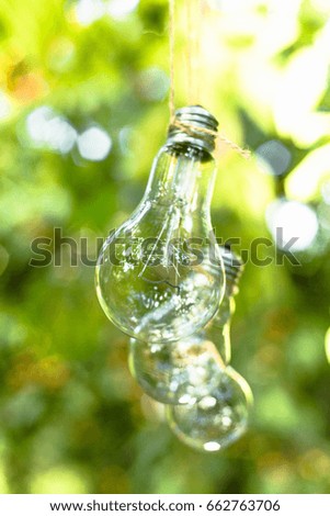 Light bulbs in a garden hang on a tree tied for a string