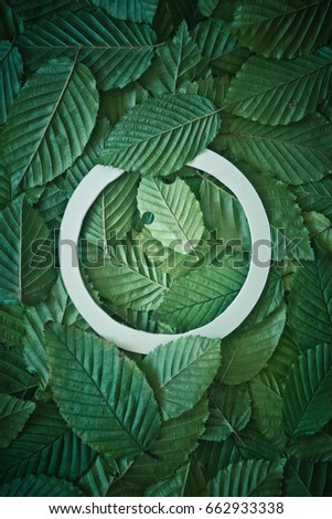 Creative layout made of hophorn ironwood green leaves. Flat lay. Nature background