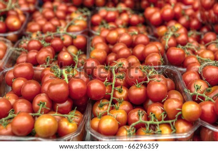 Cherry Tomatoes in plastic containers in the market