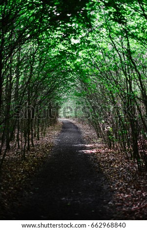 Pathway with trees like arcs