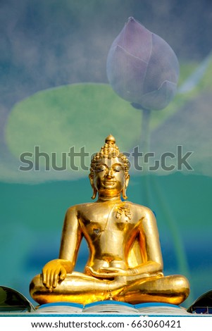 Buddha statue on lotus background
