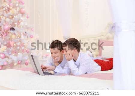 Boys, siblings together look at laptop screen and play game or watch movie, lying on soft and comfortable bed in bright, beautiful bedroom with decorated festive Christmas tree. Guys of European
