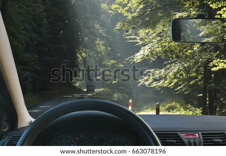 View from the car while driving on an asphalt road