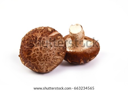 Fresh Shiitake mushroom  isolated on white background. Royalty-Free Stock Photo #663234565