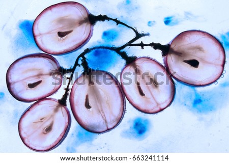 Translucent slice of red grape in blue liquid. Frozen fruit. Royalty-Free Stock Photo #663241114
