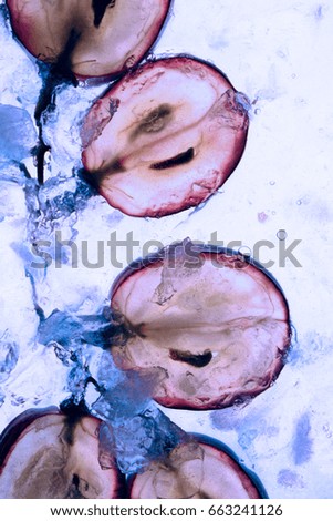 Translucent slice of red grape in blue liquid. Frozen fruit. Royalty-Free Stock Photo #663241126