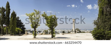 two trees and old column in Carthage in Tunisia