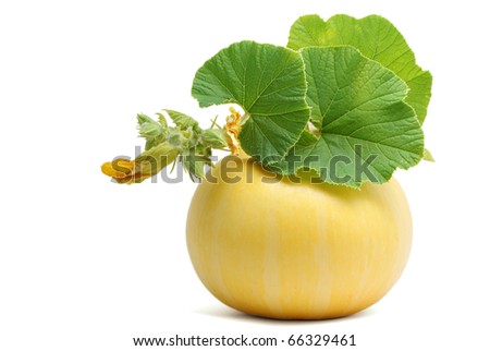Yellow pumpkin with leaves isolated on white background