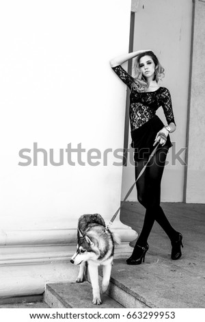 Girl in the park with a dog Husky. The girl with the siberian husky. Delightful girl plays with a Siberian Husky. Girl walking with a hunting dog - the West Siberian husky. Close-up. Fashion photo