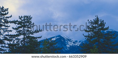 Photo depicting a beautiful moody frosty mountain forest landscape. European alpine mountains with snow peaks on a blue sky background.