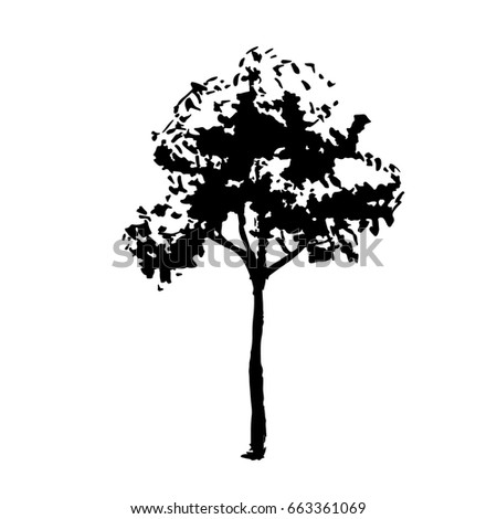 Vector Illustration of a single tree; a doodle sketch  for Design, Website, Background, Banner. Hand drawn Garden, Forest or Park  Ink Element; isolated on white background