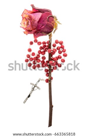 Catholic rosary and dry rose, isolated on white background