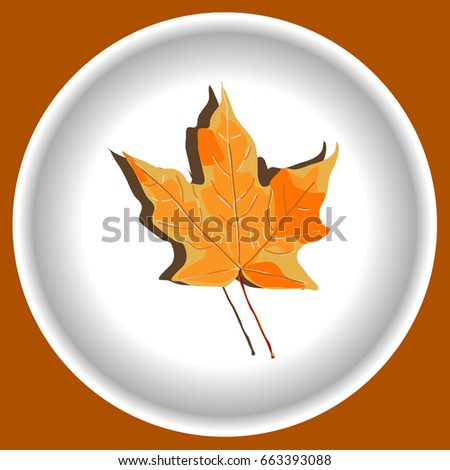 Autumn yellow maple  leave on white plate