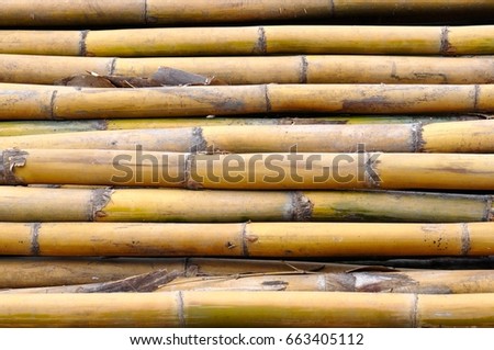 Close up view of a pile of bamboo poles