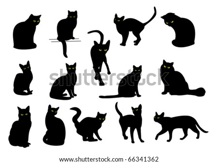 14 black cats with yellow eyes