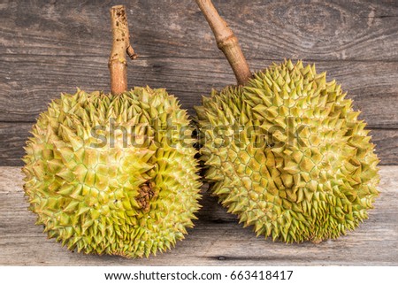 Durio zibethinus, Durian in Thailand. 