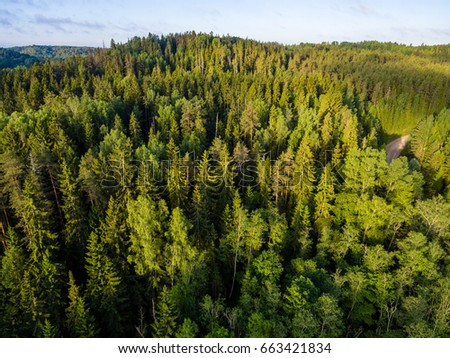 drone image. aerial view of rural area with forest river in summer morning