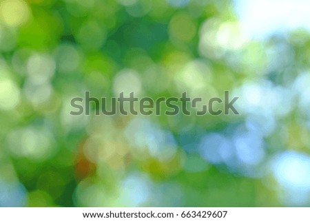 Green background, bokeh, elements of natural design
