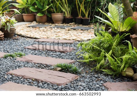 Simple pathway in home garden landscape Royalty-Free Stock Photo #663502993