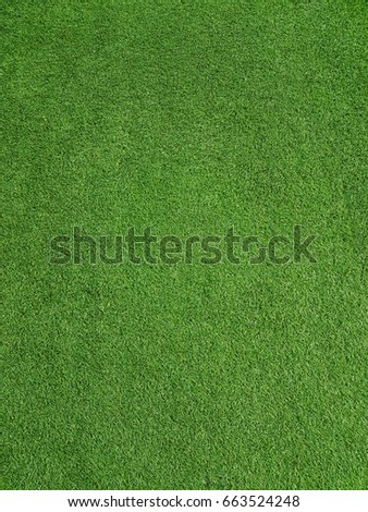 Artificial Grass Texture Background in Vertical