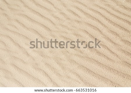 Sandy waves, sand on the beach or desert texture pattern