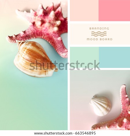 Colorful summer season mood board with red starfish and seashells isolated on light pastels