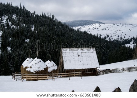 Rural Romania - Cabin and hay