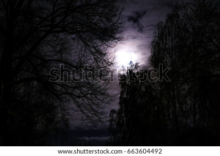 dark night and moonlight