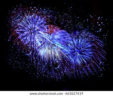Celebratory beautiful color fireworks in a night sky 
