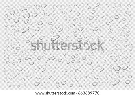 Vector set of realistic isolated water droplets on the transparent background. Royalty-Free Stock Photo #663689770