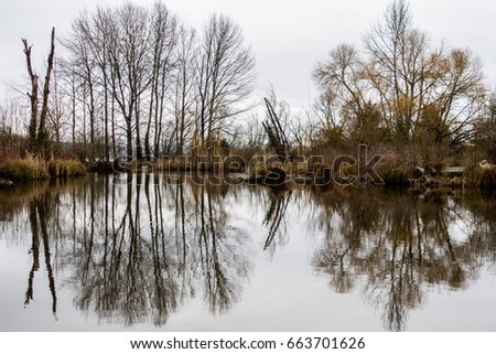 Warren G. Magnuson Park Pond Winter Reflection: The reflections on a pond in Warren G. Magnuson Park during the winter. Royalty-Free Stock Photo #663701626