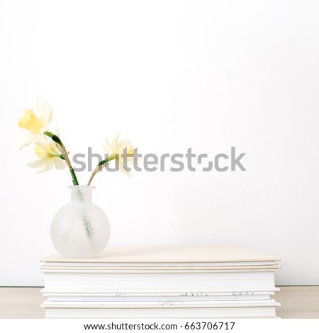 Yellow narcissus flower in flowerpot on photo albums in front of white background.