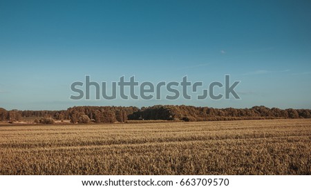 Aged photo of beautiful rural landscape