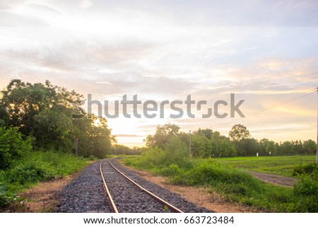 Natural evening train tracks
