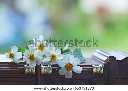 White flowers on wooden
