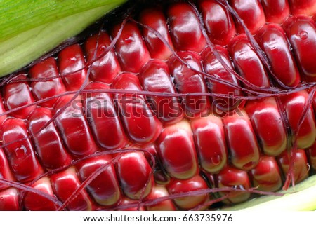 Close up picture of red Corn, 