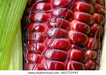 Close up picture of red Corn,
