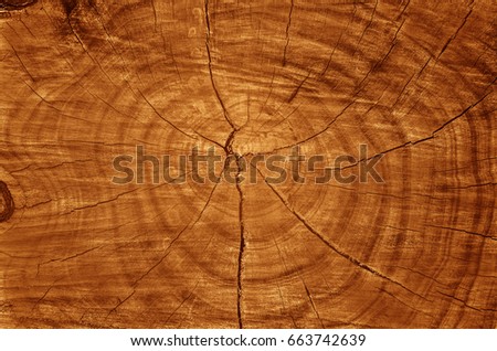 Wood texture background, brown wooden texture with natural pattern, wood background or texture.Can be used as a background image to enhance the business.