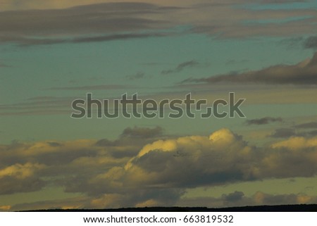 a flock of birds flying in the distance against the evening sky and the reflection of the setting sun in the clouds