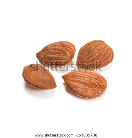 Apricot kernel isolated on white background. B17 vitamin Royalty-Free Stock Photo #663835738