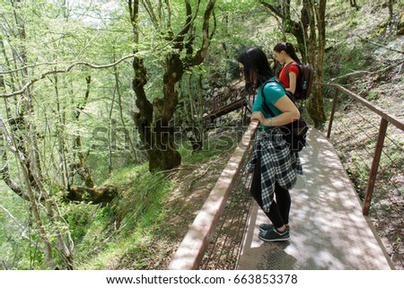 Group travelers travel In the forest of the mountains reserve. Active hikers. Sight place in the mountains