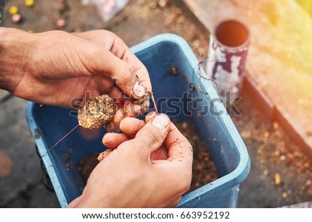 Close-up of the hands of the fisherman with maggot