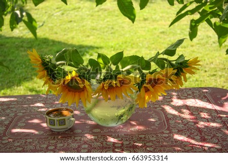 Sunflowers in a glass vase and a cup of coffee on a table in the garden