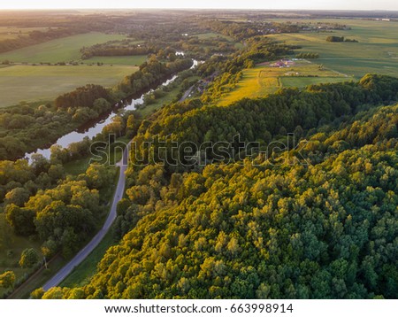 Aerial view of the forest trees and road from the top view